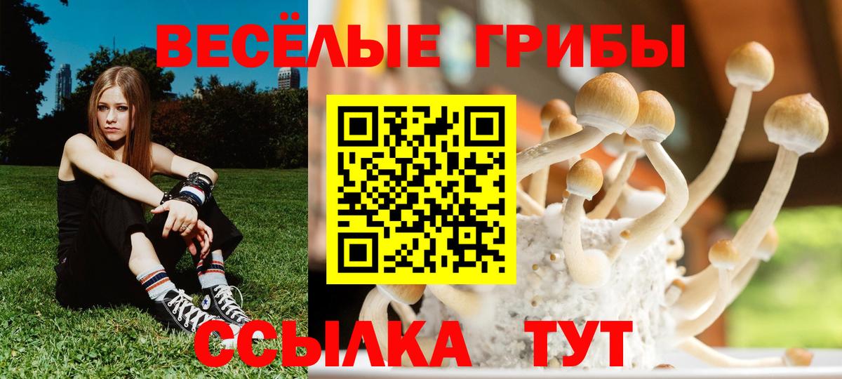 Галлюциногенные грибы Magic Shrooms Серов