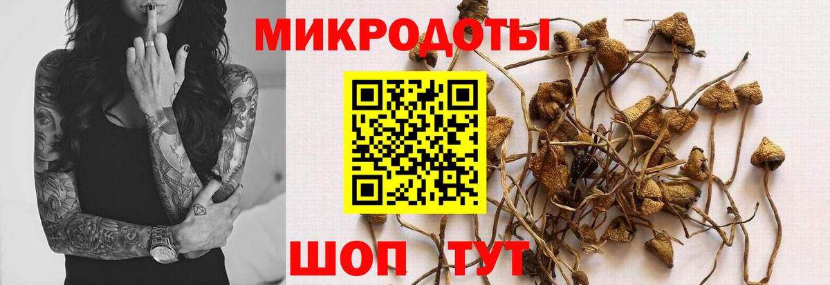 Галлюциногенные грибы прущие грибы  Вход с VPN  Галлюциногенные грибы Magic Shrooms  Серов 